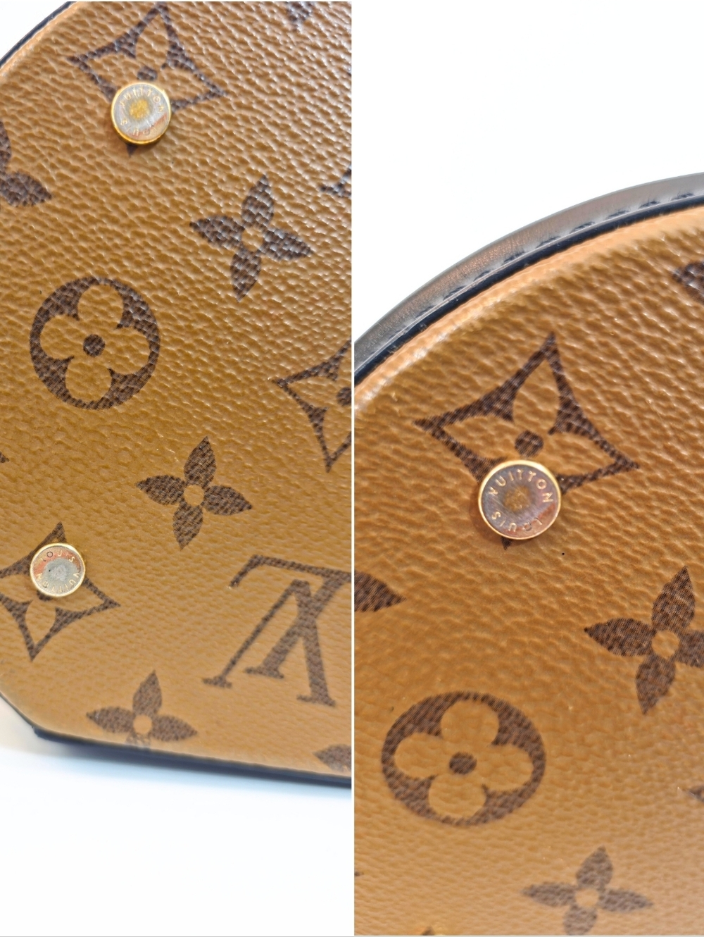 Louis Vuitton Cannes Reverse Monogram Canvas Vanity Crossbody Bag - Picture 6 of 16